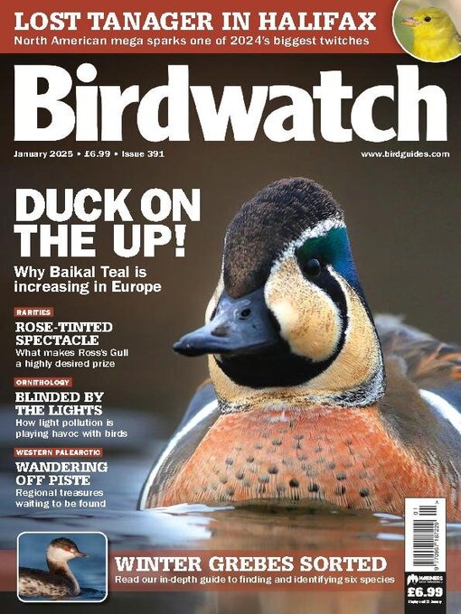 Title details for Birdwatch by Warners Group Publications Plc - Available